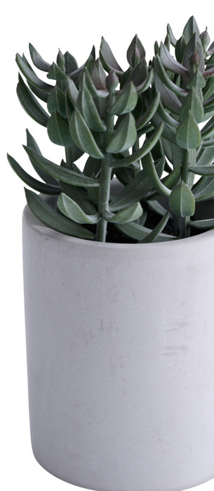 Kunstig plante tetragona H19 cm